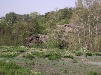 Урочище Банка. Май 2019 года