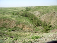 Урочище Банка. Май 2019 года