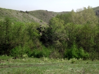 Урочище Банка. Май 2019 года