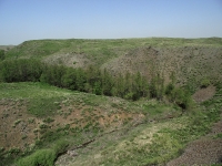 Урочище Банка. Май 2019 года