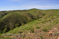 Хабарнинское ущелье