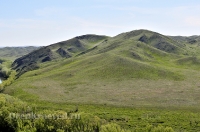 Хабарнинское ущелье