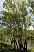 Хабарнинское ущелье