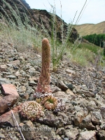 Аулганское ущелье. Июль 2012 года