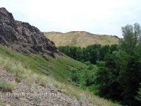 Аулганское ущелье. Июль 2012 года