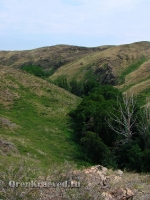 Аулганское ущелье. Июль 2012 года