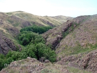 Аулганское ущелье. Июль 2012 года