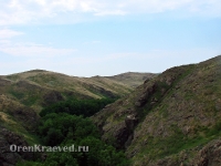 Аулганское ущелье. Июль 2012 года