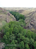 Аулганское ущелье. Июль 2012 года