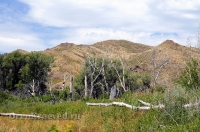 Урочище Верблюжьи Кочки. Июль 2014 года