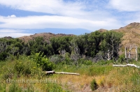 Урочище Верблюжьи Кочки. Июль 2014 года