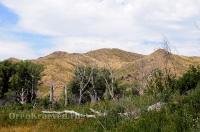 Урочище Верблюжьи Кочки. Июль 2014 года