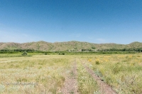 Урочище Верблюжьи Кочки. Июнь 2015 года