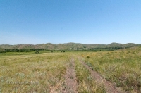 Урочище Верблюжьи Кочки. Июнь 2015 года