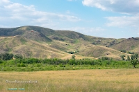 Урочище Верблюжьи Кочки. Июнь 2023 года