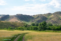 Урочище Верблюжьи Кочки. Июнь 2023 года