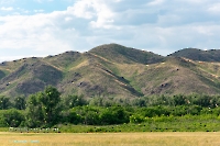 Урочище Верблюжьи Кочки. Июнь 2023 года