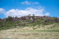 Скалистая гряда «Бронтозавр». Май 2025 года