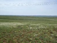 Кзылсайский выход бокситов