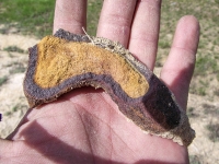 Кзылсайский выход бокситов