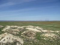 Кзылсайский выход бокситов