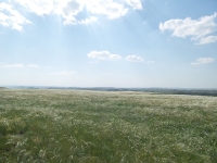 Урочище Чертово Городище. 2014 год