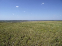 Урочище Чертово Городище. 2018 год