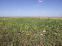 Урочище Чертово Городище. 2018 год