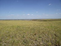 Урочище Чертово Городище. 2018 год