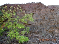 Карьер Калиновская яшма