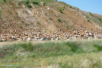 Аккермановский отработанный марганцевый карьер. Июнь 2023 года