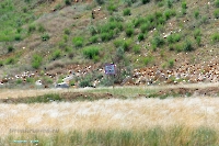 Аккермановский отработанный марганцевый карьер