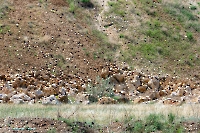 Аккермановский отработанный марганцевый карьер. Июнь 2023 года