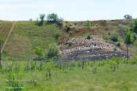 Аккермановский отработанный марганцевый карьер. Июнь 2023 года