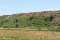 Аккермановский отработанный марганцевый карьер. Июнь 2023 года