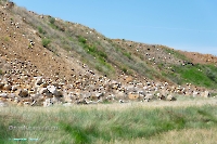 Аккермановский отработанный марганцевый карьер. Июнь 2023 года