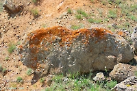 Аккермановский отработанный никелевый карьер