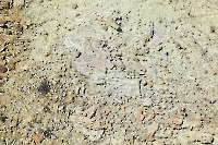 Айдербакский отработанный никелевый карьер