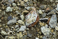 Айдербакский отработанный никелевый карьер