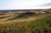 Гора Шишка у Царской дороги