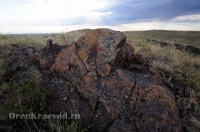 Гора Шишка у Царской дороги. Июнь 2014 года