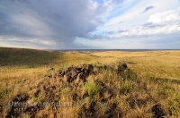 Гора Шишка у Царской дороги. Июнь 2014 года