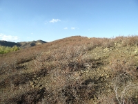 Гора Поперечная у реки Губерли. Сентябрь 2018 года