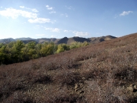 Гора Поперечная у реки Губерли. Сентябрь 2018 года