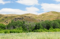 Гора Поперечная у реки Губерли. Июль 2014 года