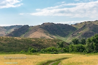 Гора Поперечная у реки Губерли. Июнь 2023 года