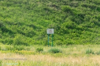 Гора Поперечная у реки Губерли. Июнь 2023 года