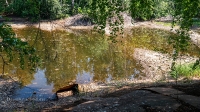 Гайская Березовая Роща и озеро Купоросное. Июнь 2021 года