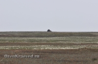 Бай-могила. Май 2012 года