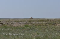 Бай-могила. Май 2012 года